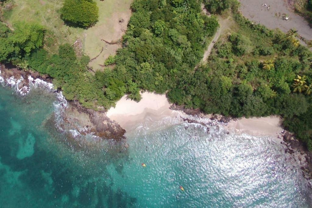 Azur Daire Le Diamant Dış mekan fotoğraf